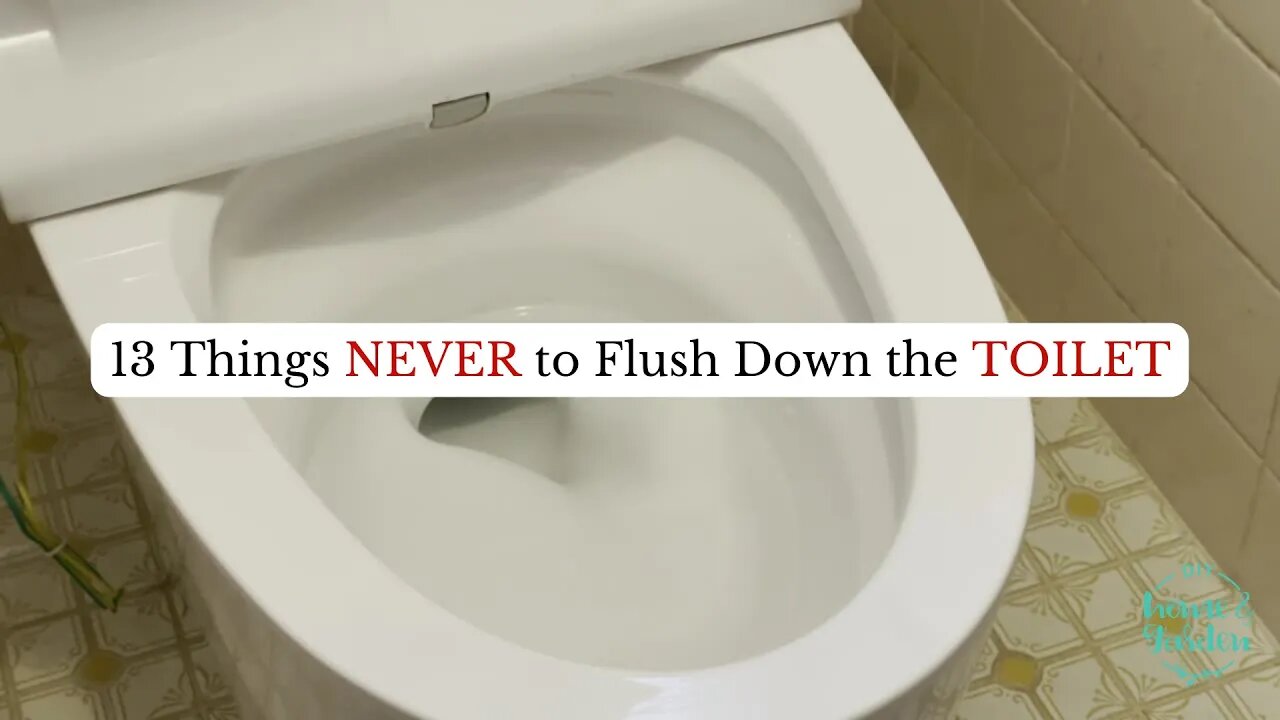 13 Things Never to Flush Down the Toilet