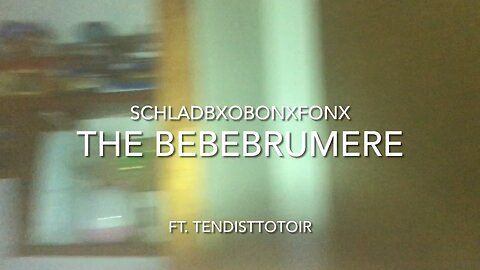The Bebebrumere - Schladbxobonxfonx ft. Tendisttotoir