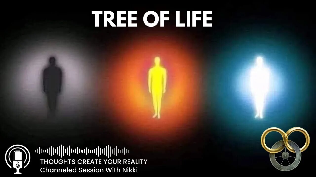 Watering Your Tree Of Life: Day 3 Reprogramming Your System