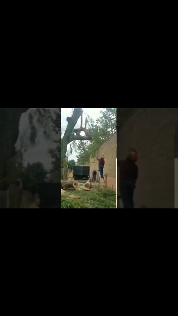 new funny video, funny video 2022, new comedy video, comedy video 2022, #shorts #short