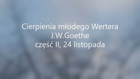 Cierpienia młodego Wertera - J.W.Goethe część II, 24 listopada