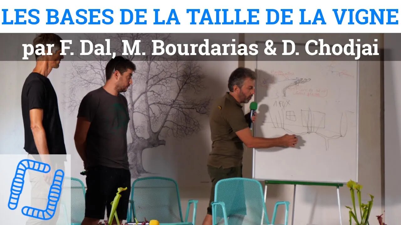 Regards convergents sur les bases de la taille de la vigne, par F. Dal, M. Bourdarias & D. Chodjai