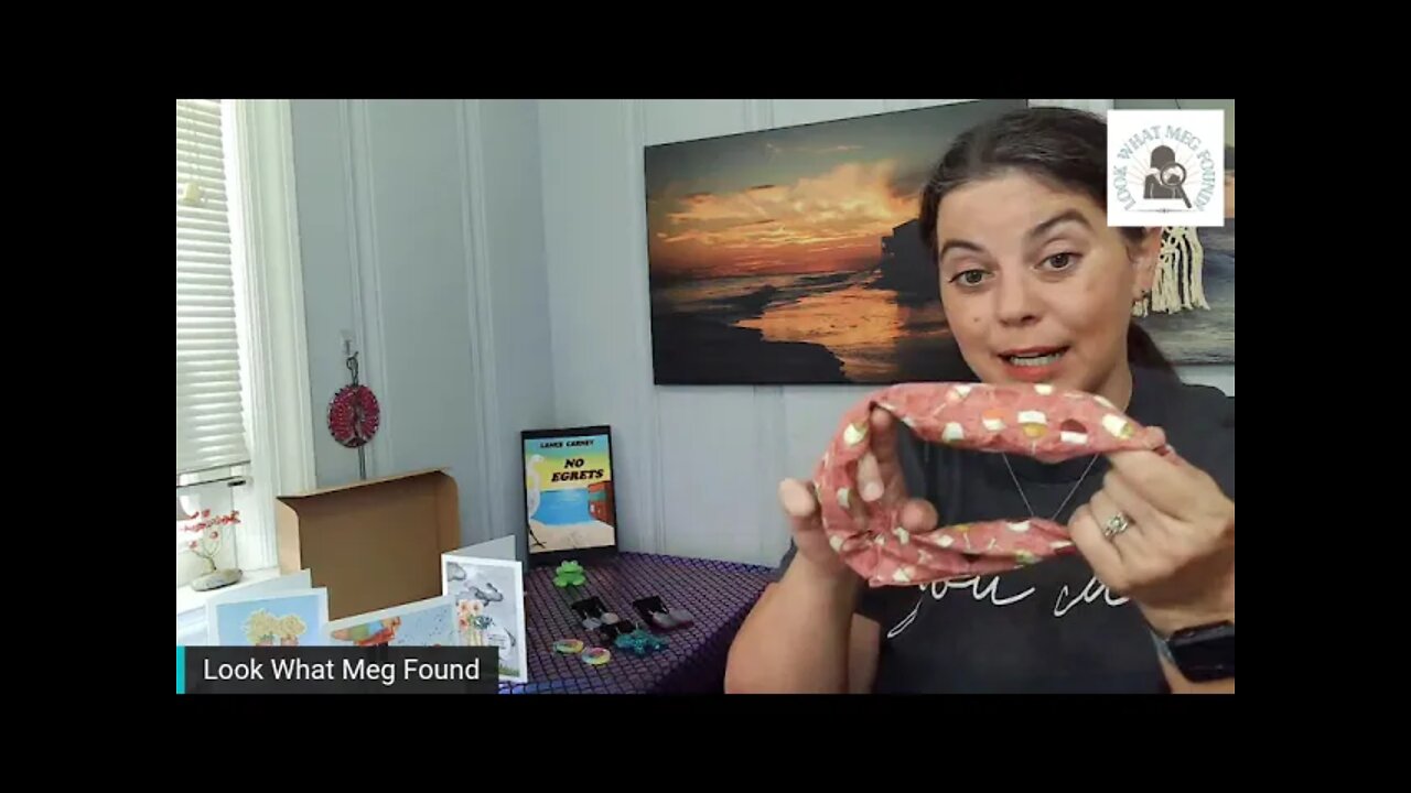 Look What Meg Found Weekly Recap 8-10-2021