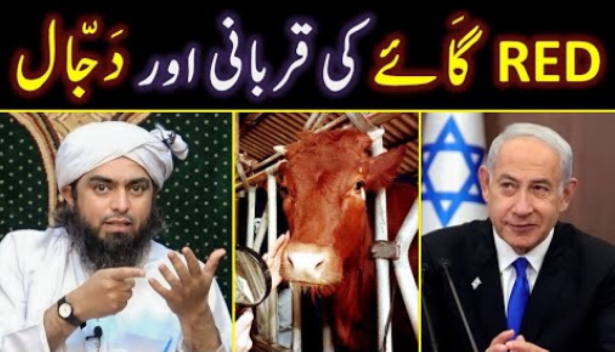 🔥 RED Heifers in Israel Vs Palestine ? 🔥 DAJJAL Vs ESA Maseeh علیہ السلام ? 😡 Engineer Muhammad Ali