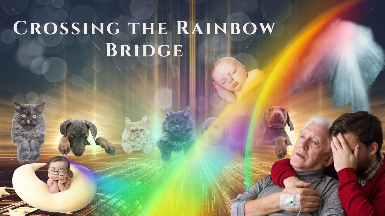 Connecting with the Afterlife. Crossing the Rainbow Bridge.