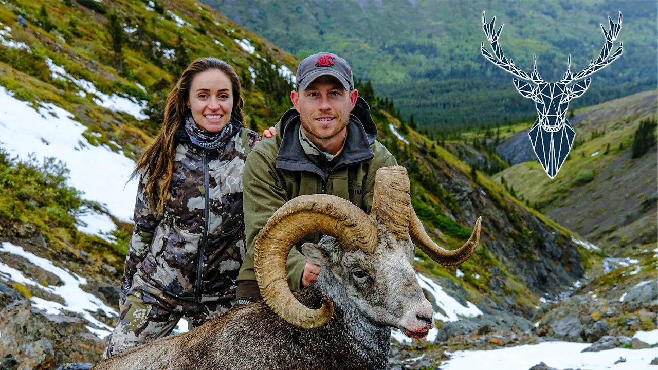 Stone Sheep and Wolf Hunt, British Columbia