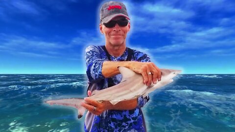 BLACK TIP SHARK- REDFISH Corpus Christi Texas Padre Island