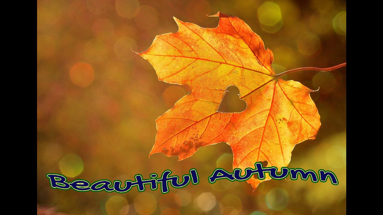 BEAUTIFUL AUTUMN
