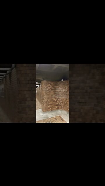 Gorgeous Bonaventure metro #viralvideo #montreal