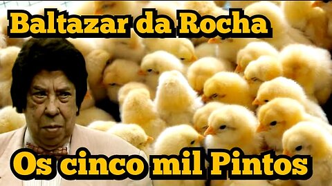 Escolinha do Professor Raimundo; Baltzar da Rocha, os cinco mil pintos