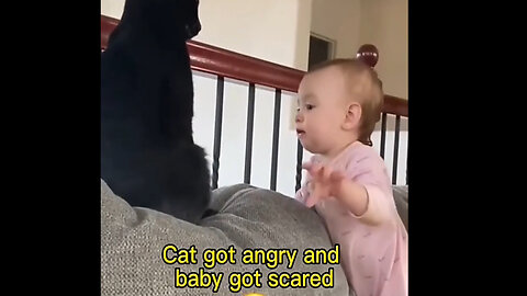 Cat Got Angry And Baby Got Scared