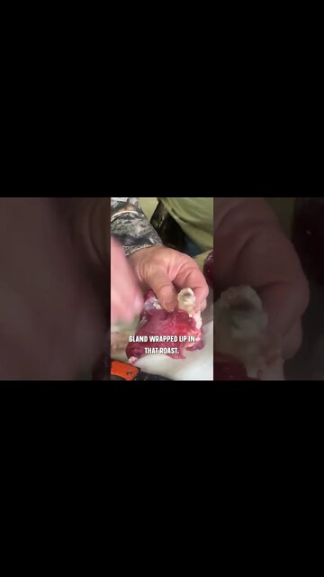 Eliminate gamey flavor from venison #shorts #deer #deerhunting #meat