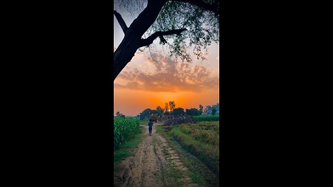 Morning Scenes in Countryside Areas