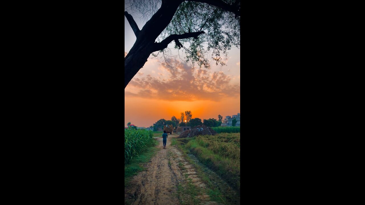 Morning Scenes in Countryside Areas