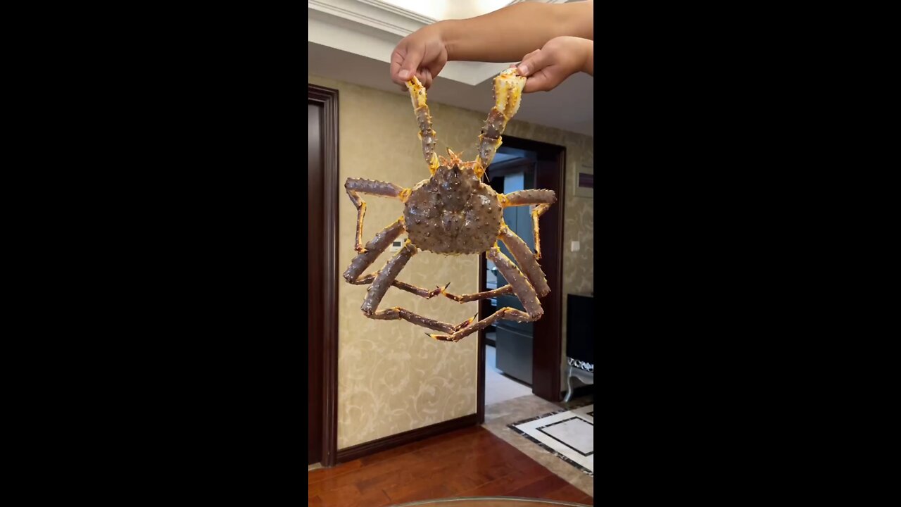 The new practice of bread crab