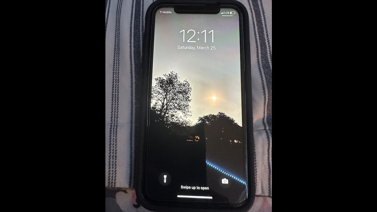 🎼🦁🎵🎶🫥🎶🎵🦁🎼