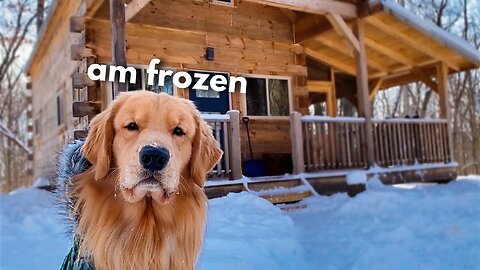 The hot new trend: Owning an indoor pool for your dog!