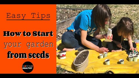 Easy Garden Tips to Grow Your Vegetable and Herb Seeds Successful Indoors