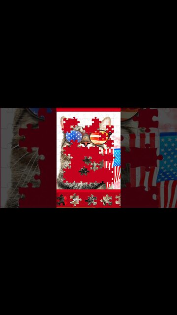 99 piece jigsaw - USA kitty