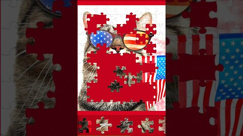 99 piece jigsaw - USA kitty