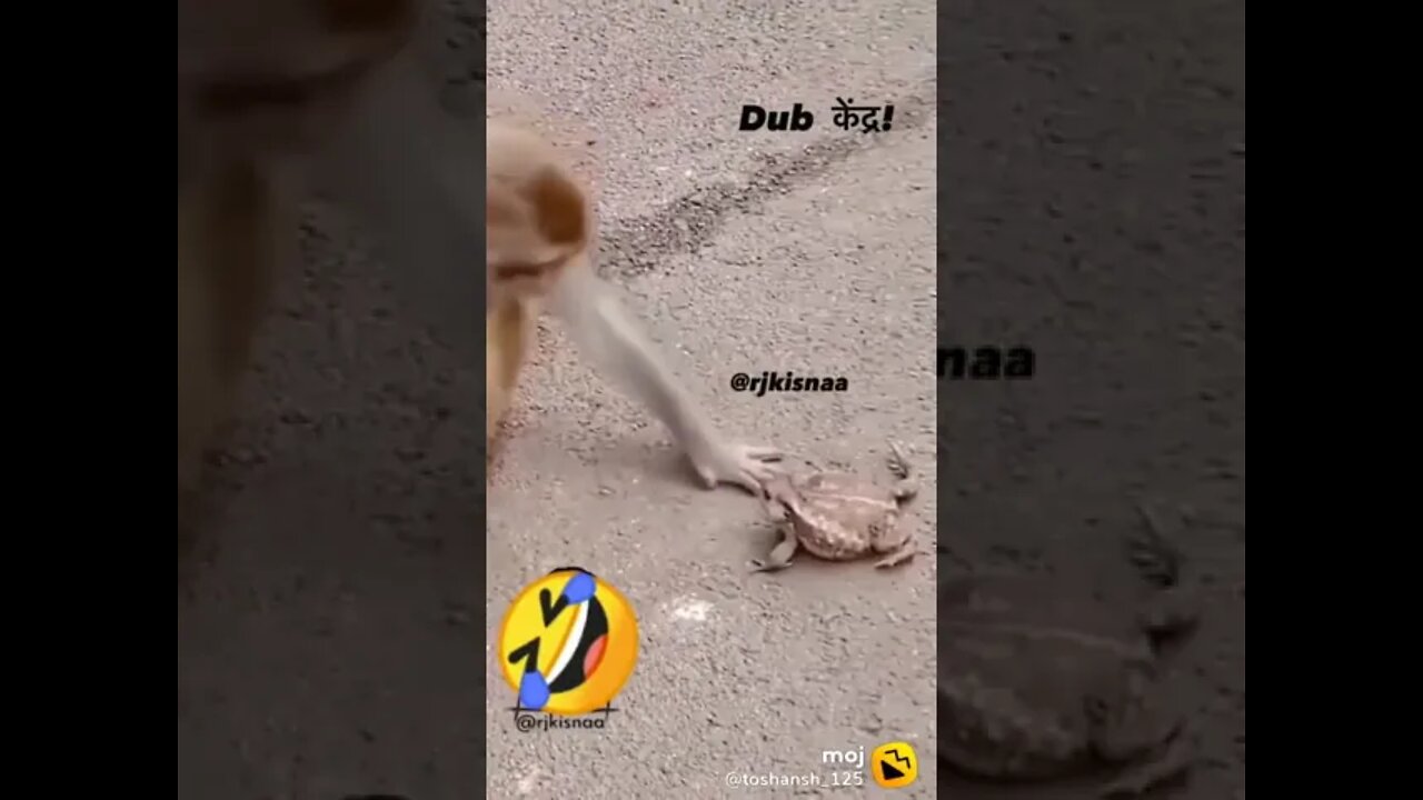 aise massag karne wala nahi milega dekh lo ek baar 😂😂