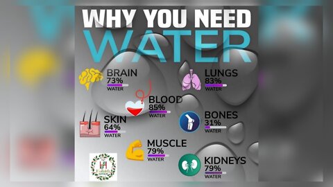 Why The Human Body Need Water?