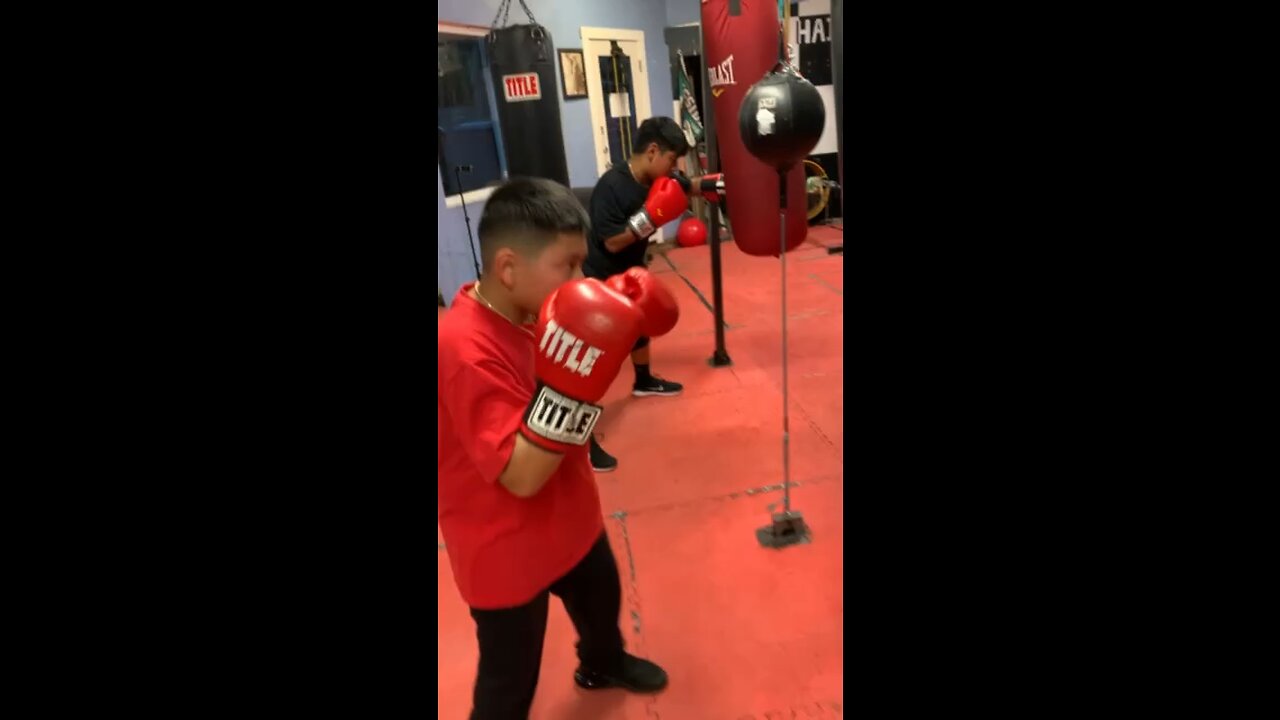 Kids love boxing