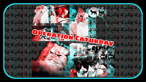 Operation Caturday Full Broadcast 10-8-2022