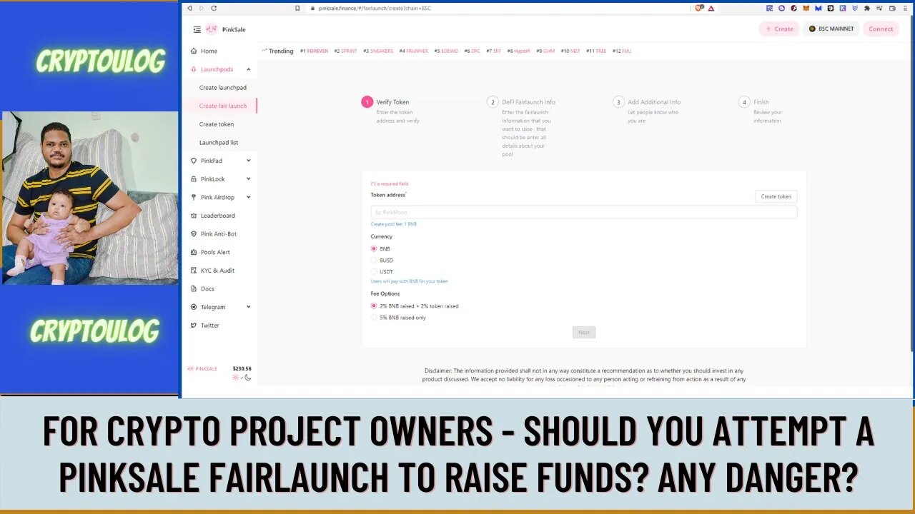 For Crypto Project Owners - Should You Attempt A Pinksale Fairlaunch To Raise Funds? Any Danger?