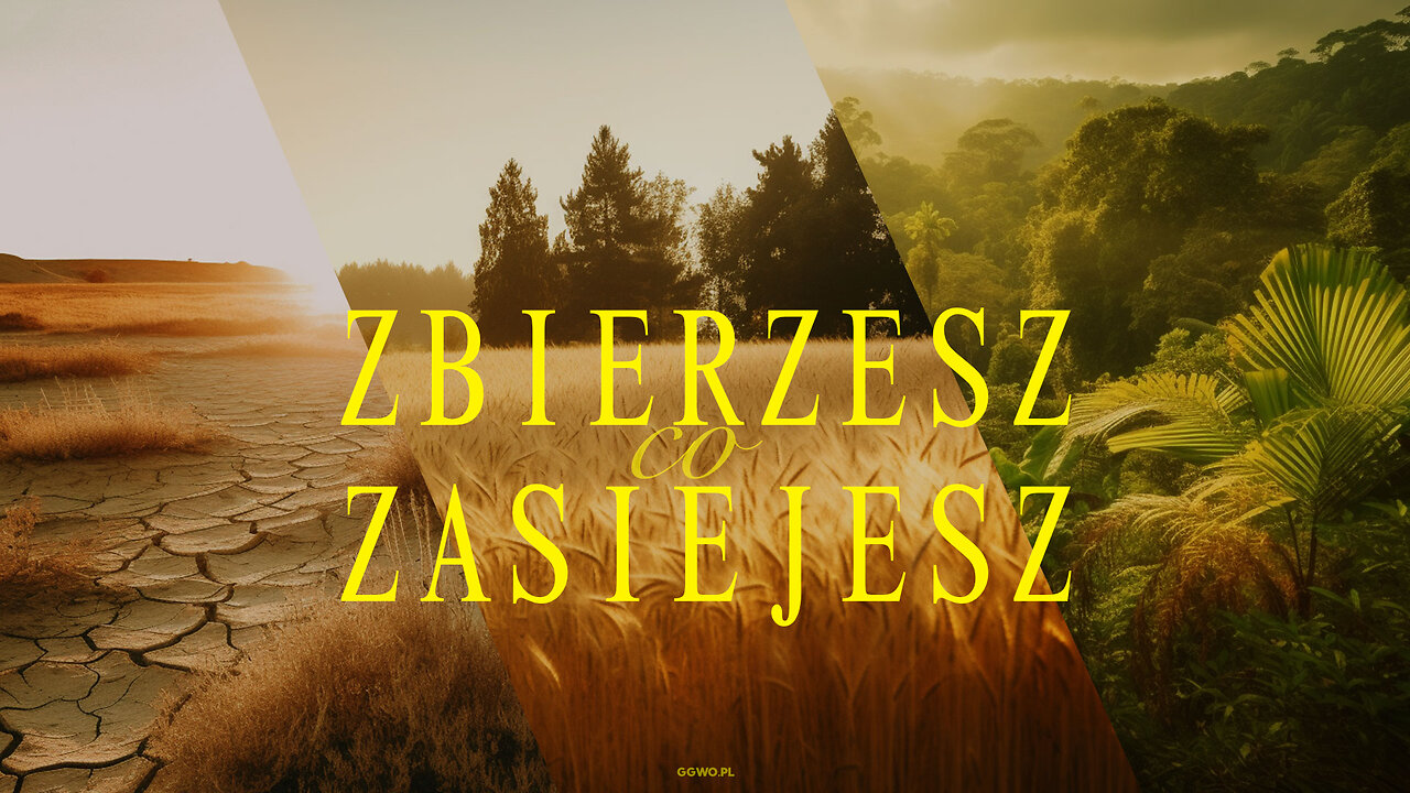 2023.07.26 - ZBIERASZ CO ZASIEJESZ - Pastor Maciek