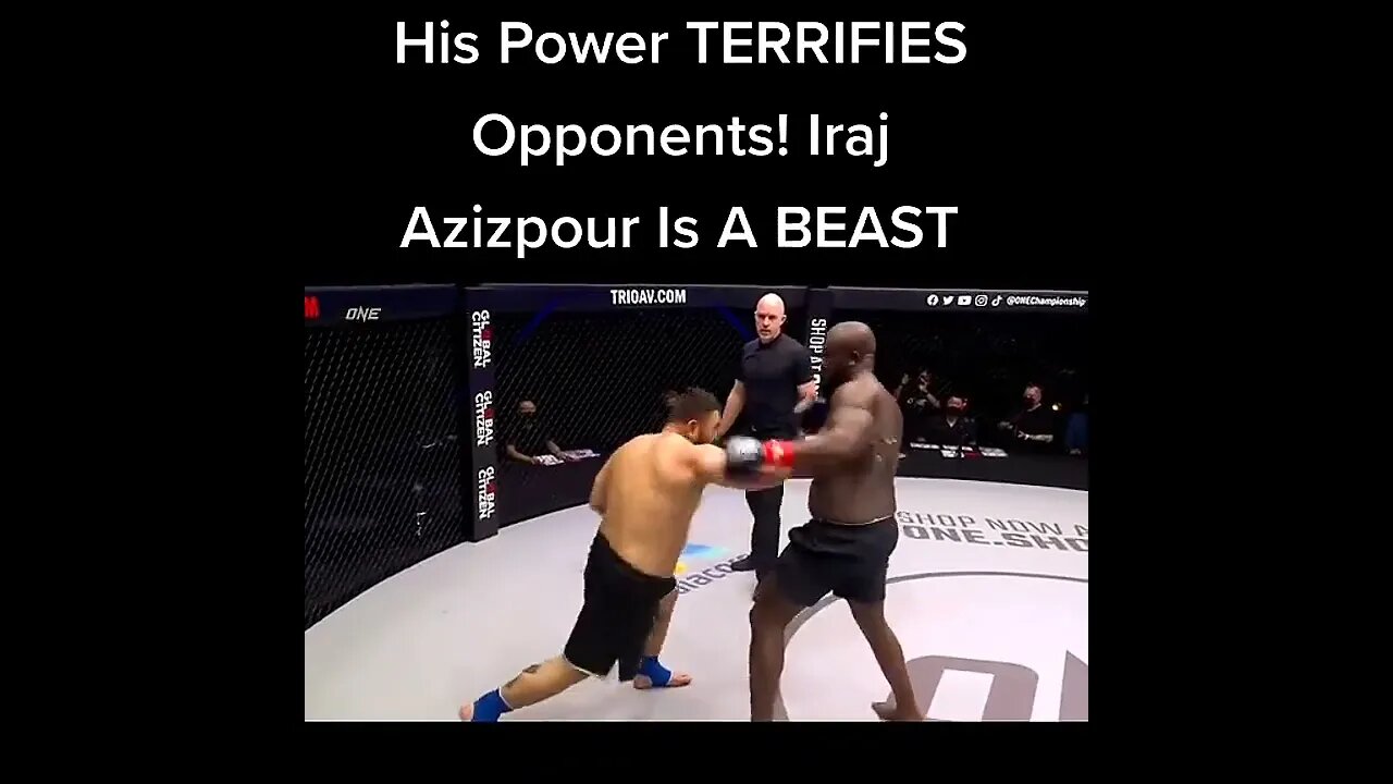 ASSISTA OS VÍDEOS NO CANAL - WATCH THE VIDEOS ON THE CHANNEL