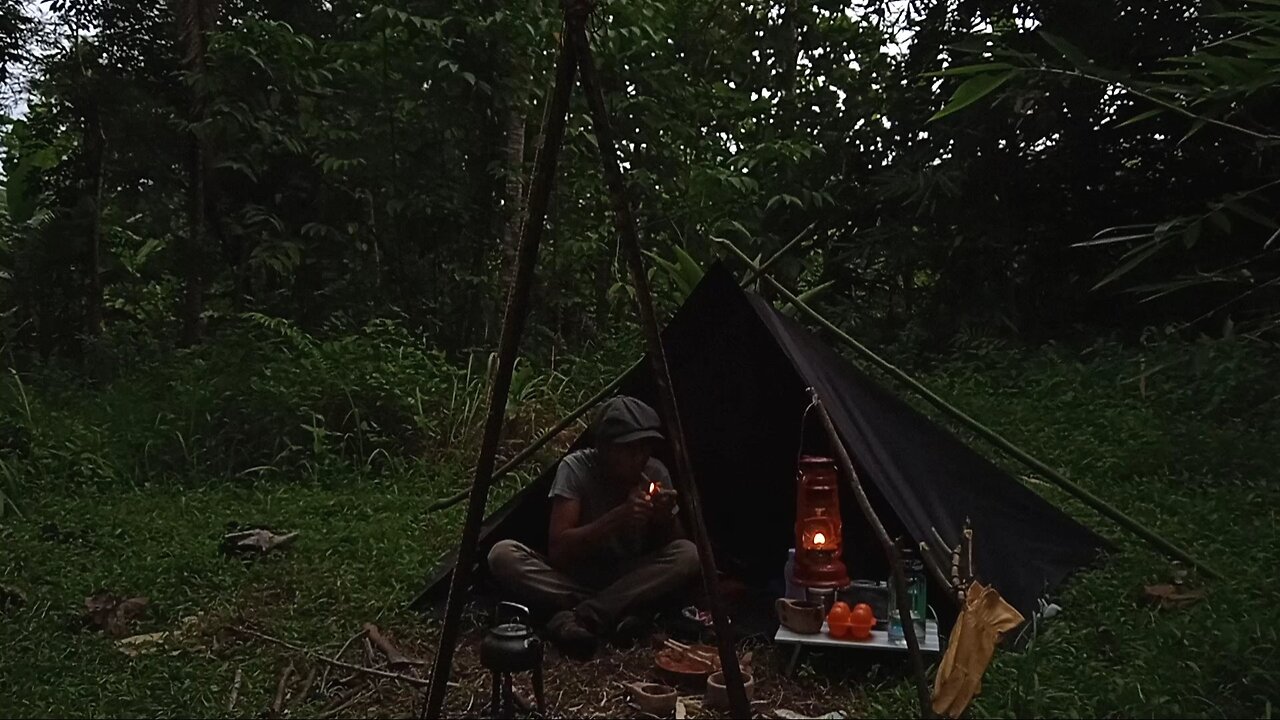 Solo Camping in rainforest • Survival Shelter • Making wooden clasp spatula • asmr