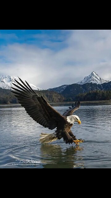 When We Rise Up To Overthrow This Government