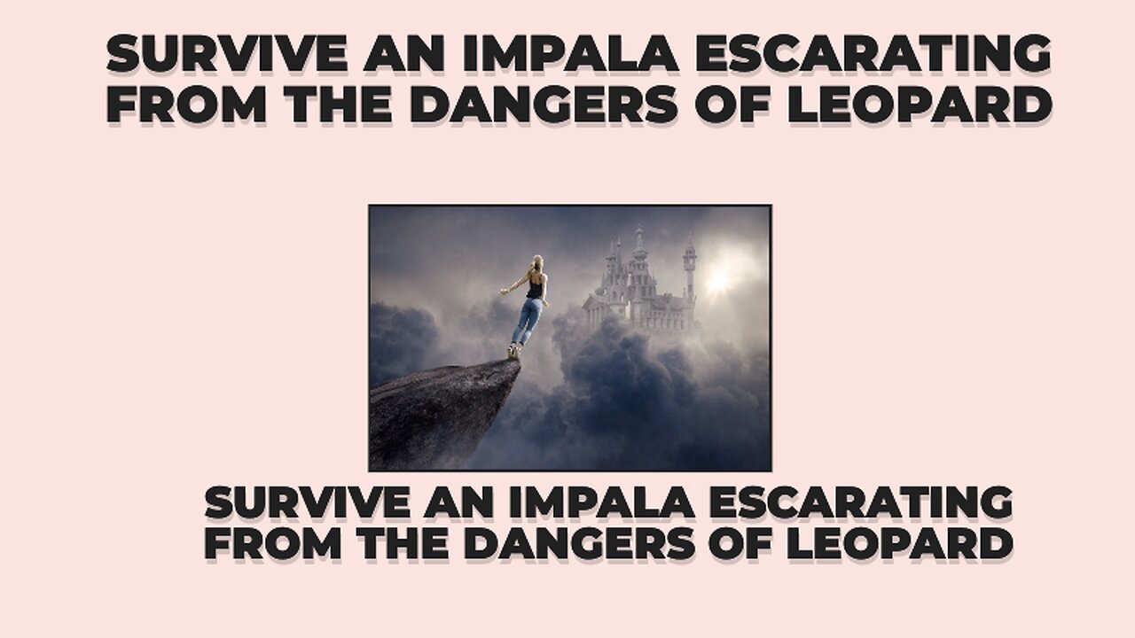 How to Survive an Impala Escarating from the Dangers of Leopard Jaws