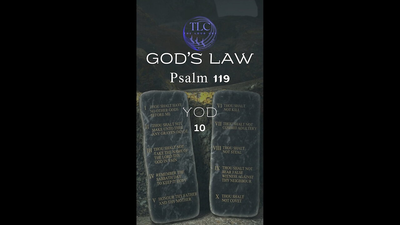 GOD'S LAW - Psalm 119 - 10 - Confidence in the law #shorts