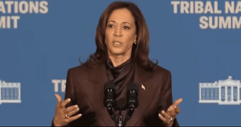 Black Staffers Accuse the Harris Campaign of Racial Discrimination