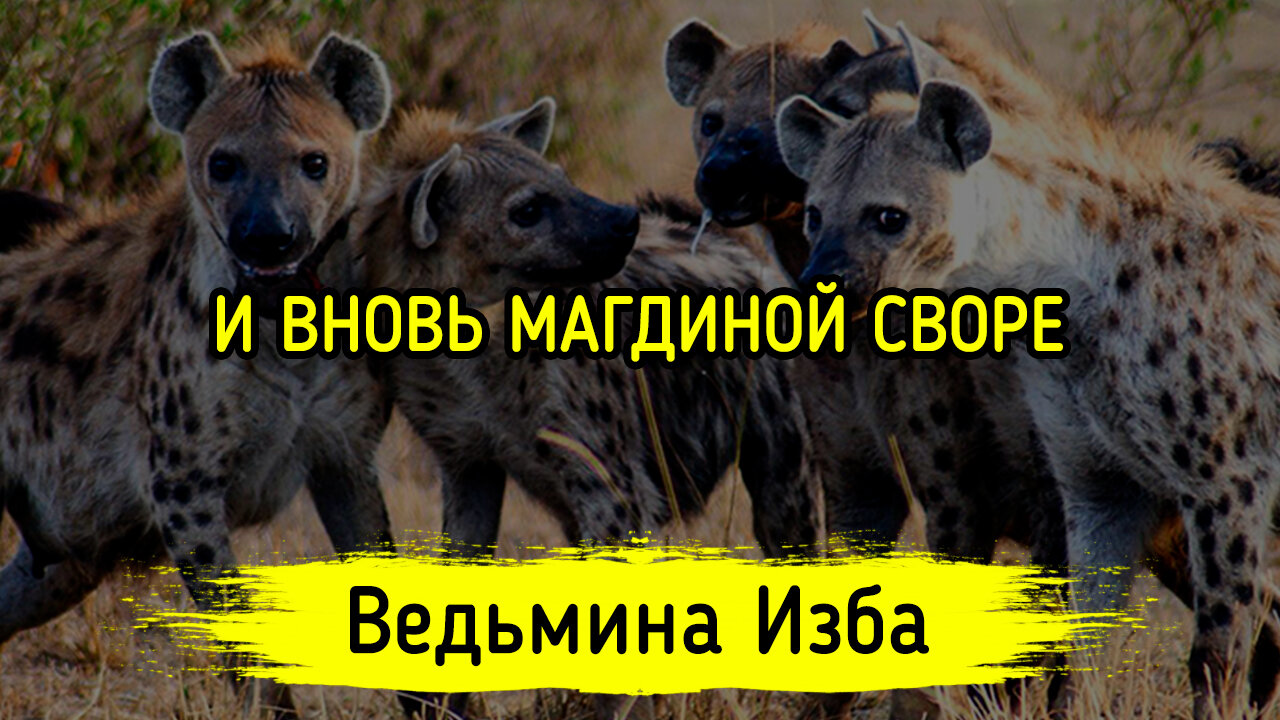 И ВНОВЬ МАГДИНОЙ СВОРЕ