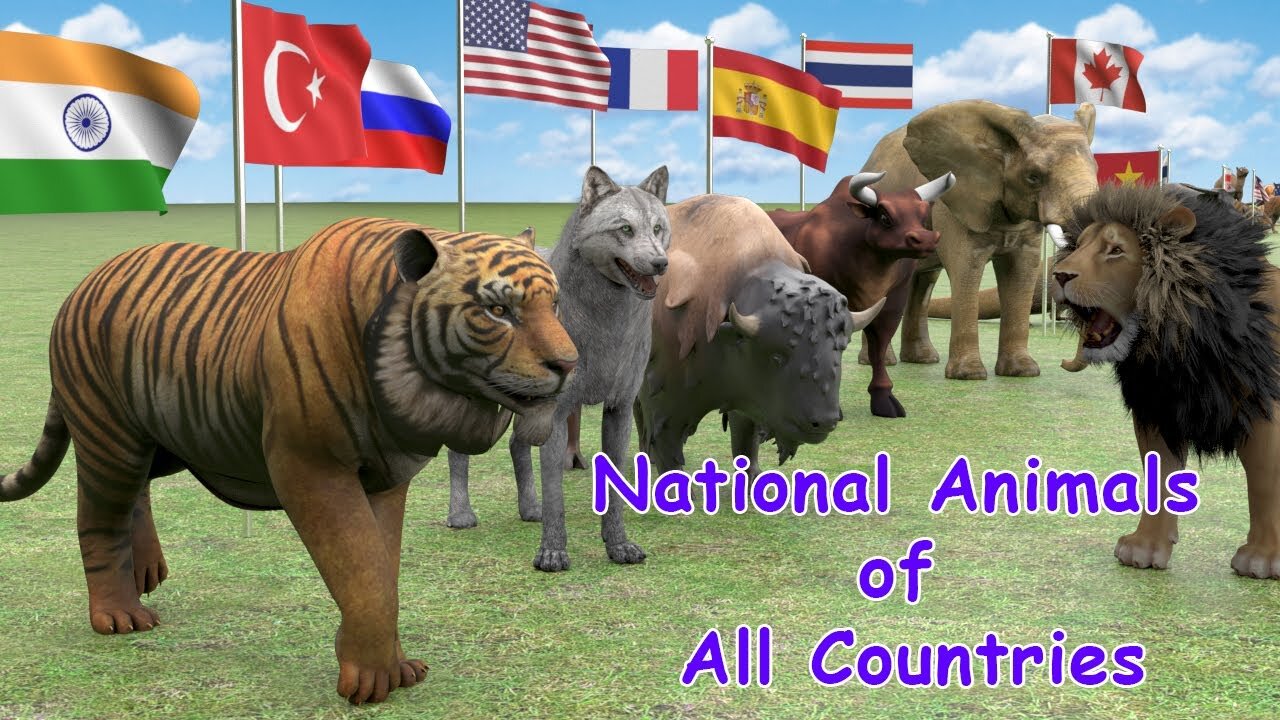 National Animals of the world | National Animals.