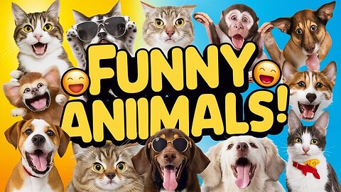 Husky dog 🐕 vs human funny comedy video