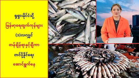 ရုရှားသို့ မြန်မာ့ရေထွက်ကုန်များကို တန်ချိန်ရာနဲ့ချီ တင်ပို့နိုင်ရေး ဆောင်ရွက်နေ