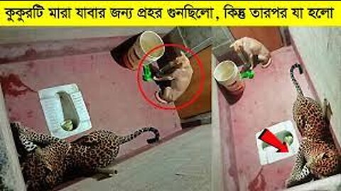 ক্যামেরায় রেকর্ড না হলে আপনিও বিশ্বাস করতেন না ! If not recorded you wont believe