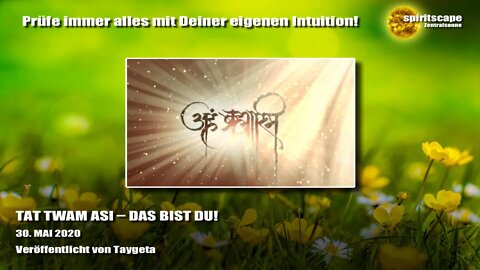 TAT TWAM ASI – DAS BIST DU! - Transinformation