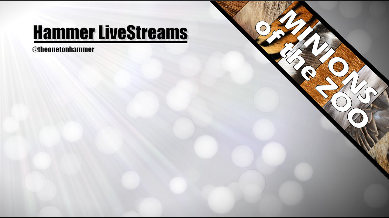 MotZ #2490 •Laken •Invalid •Doe - The Wednesday Show -