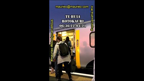 maurieo #shorts TE HUIA AT ROTOKAURI