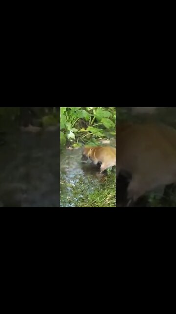 What Was She Thinking??