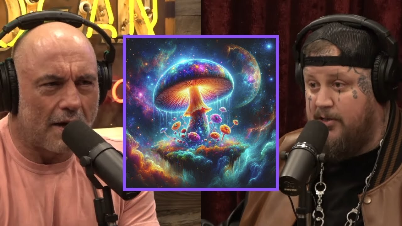 The Theory that Psilocybin Came from Outer Space - Joe Rogan & Jelly Roll