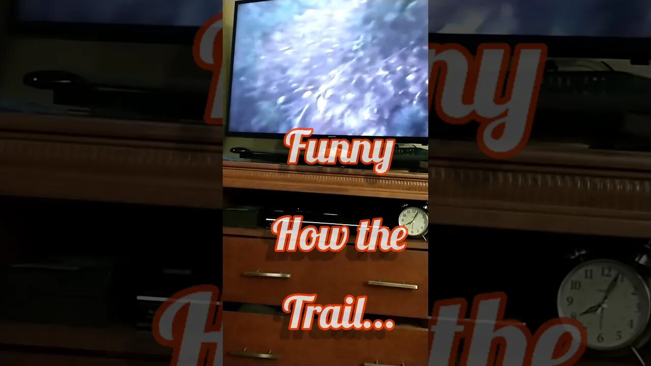 Summer Wells UPDATE- Trip down Don's "Dog" Trail?