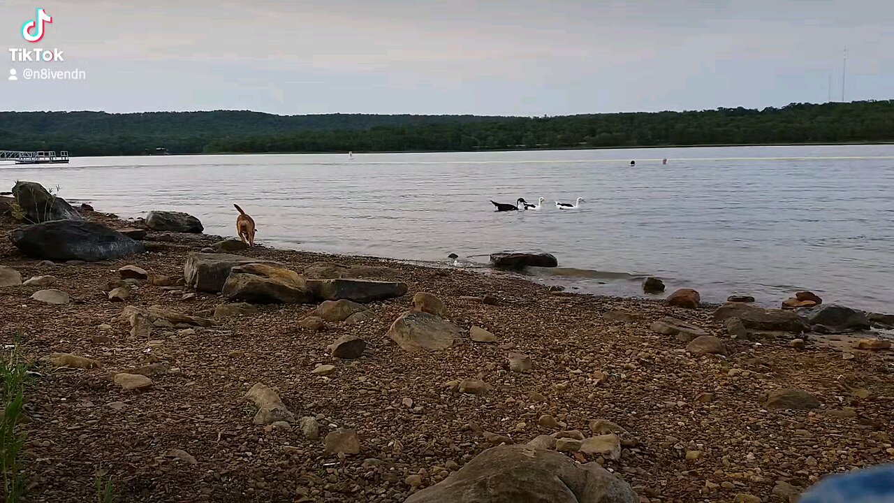 Okmulgee Lake Oklahoma