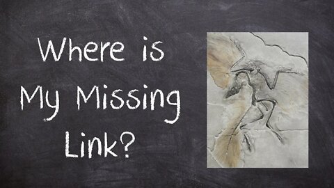 Episode 8: Where is My Missing Link?