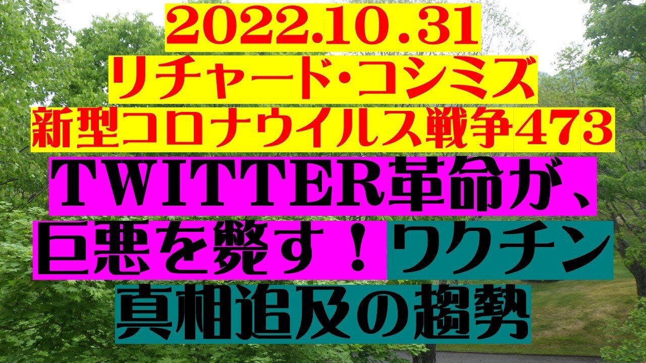 2022.10.31 リチャード・コシミズ新型コロナウイルス戦争４７３